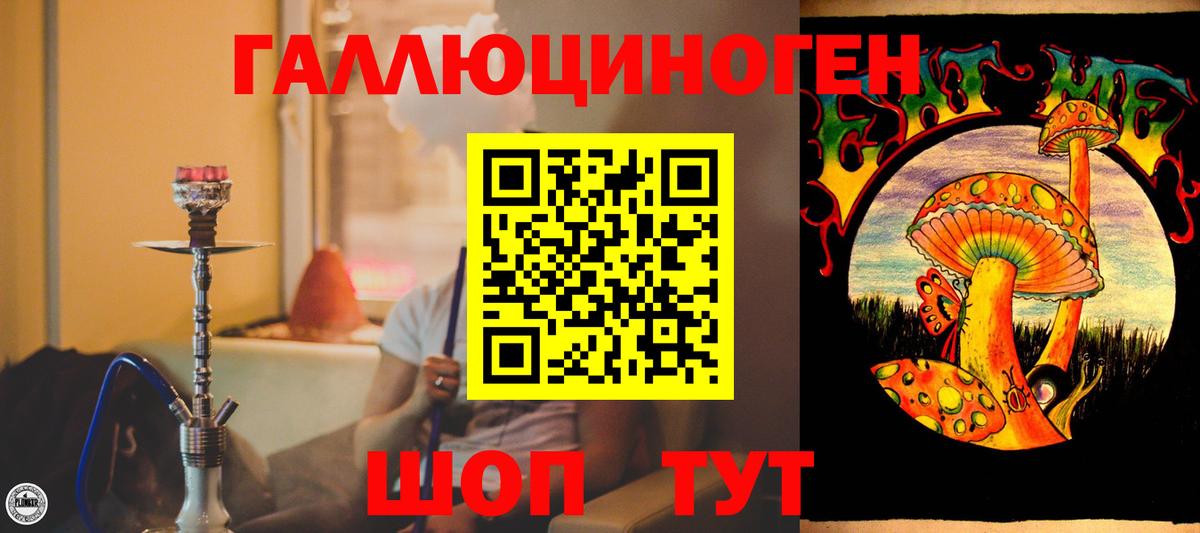 Псилоцибиновые грибы Psilocybine cubensis Красноармейск