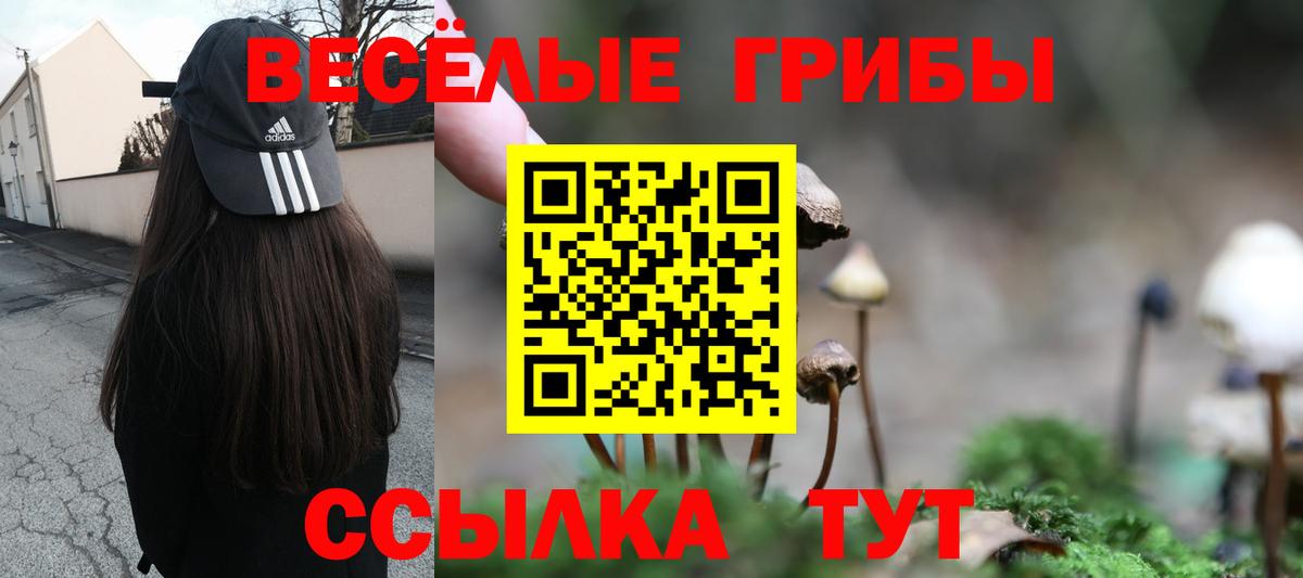 Галлюциногенные грибы Psilocybe  Вход с VPN  Красноармейск 